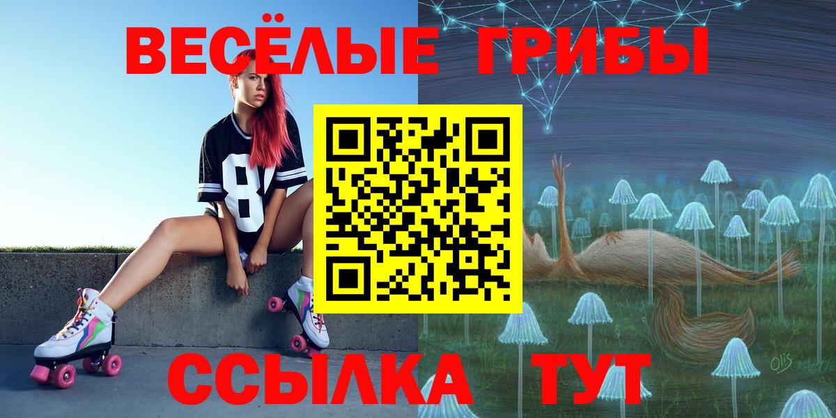 Псилоцибиновые грибы Psilocybine cubensis  наркошоп  Бугульма  Вход с VPN 